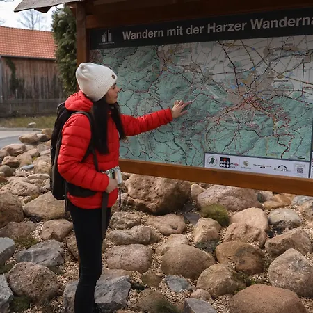 Waldbewohner / Hirsch * Ilsenburg