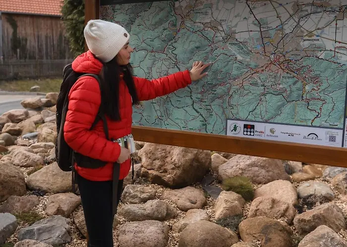 Waldbewohner / Hirsch * Ilsenburg