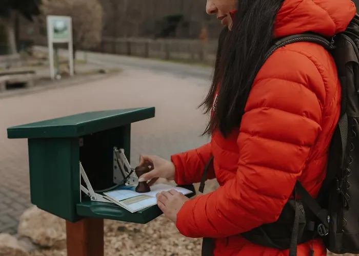 Waldbewohner / Hirsch * Ilsenburg
